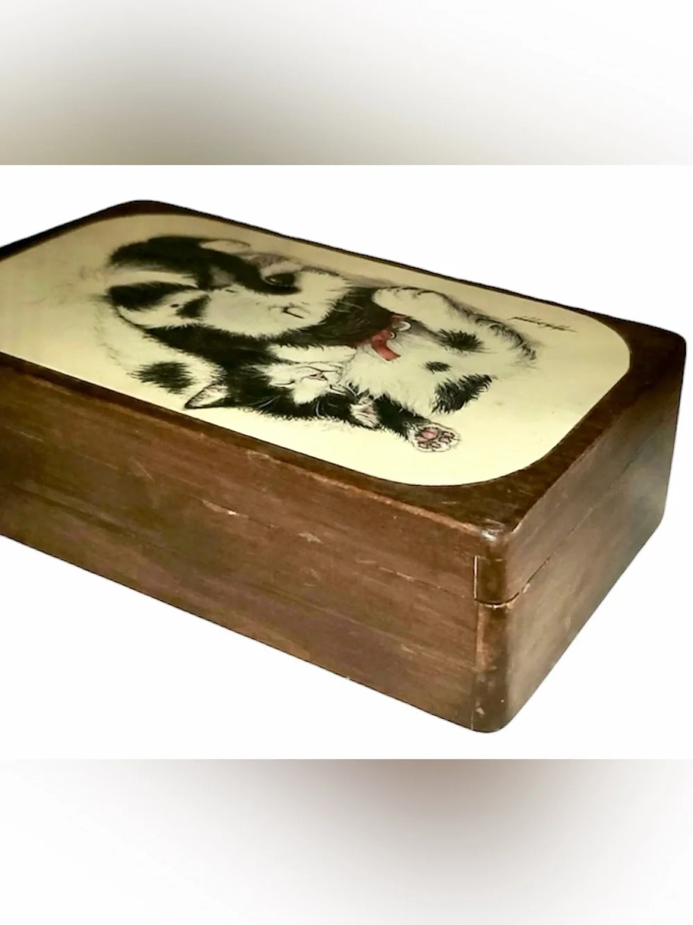 Vintage Handmade Wooden 2- Compartment Trinket/Jewelry Box  w/ Cuddly Fur-Babies